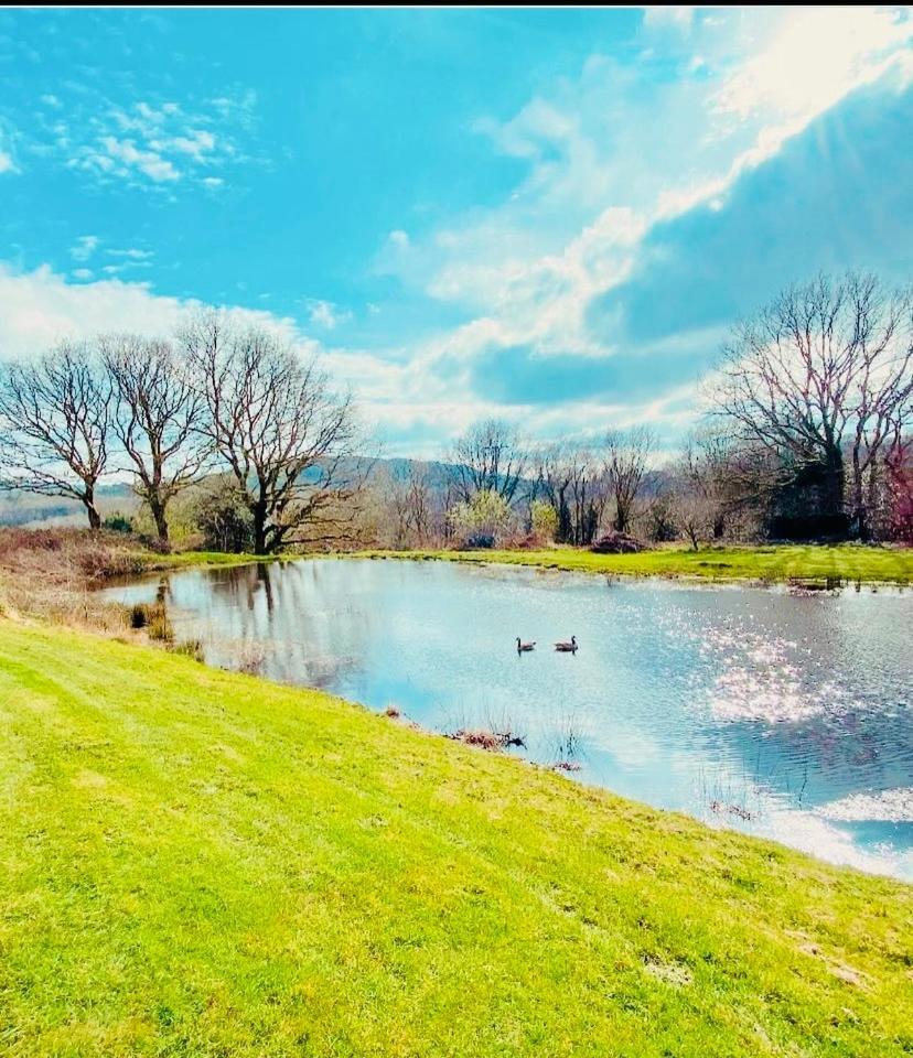 The Farmhouse สวอนซี ภายนอก รูปภาพ